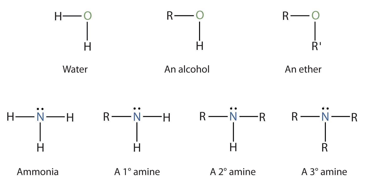 Amine 1