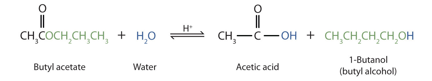 Hydrolysis Of Esters