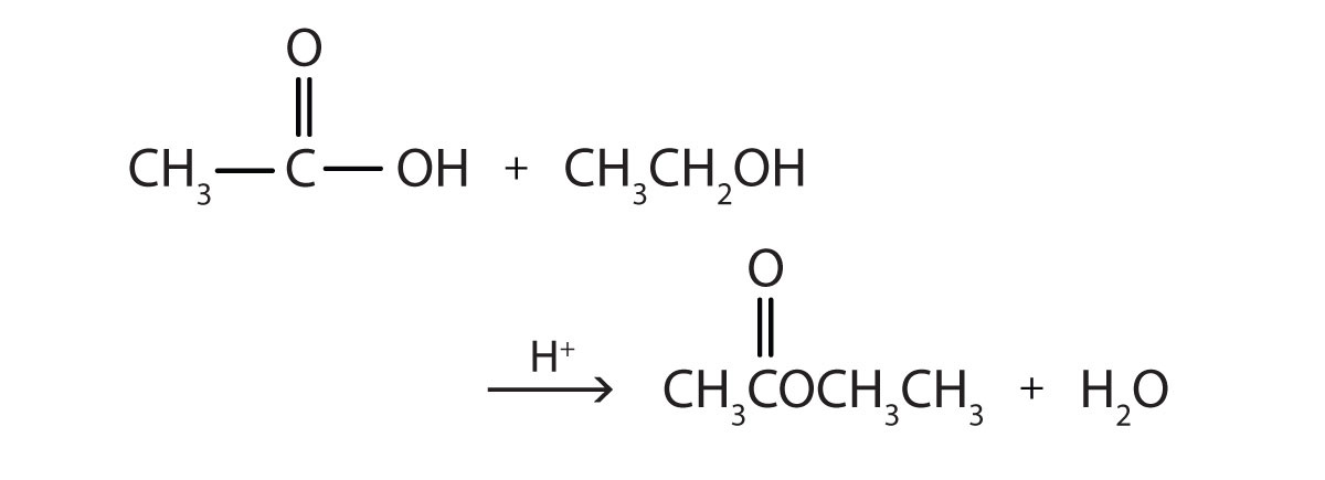 write an equation for the synthesis of isopropyl butanoate from isopropanol and butanoic acid