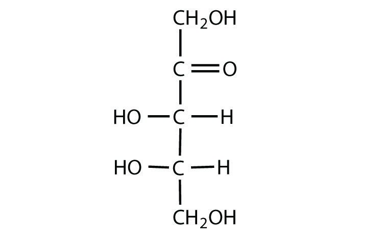 Classes of Monosaccharides