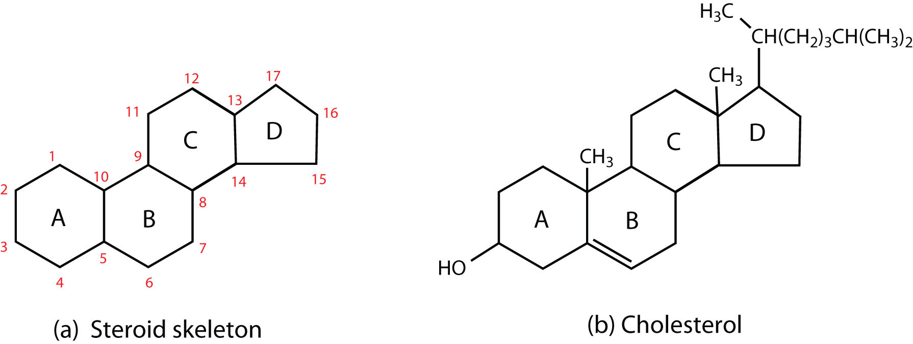 Chemical structures of the lipids used in preparing lipid/Cyclosfos-6