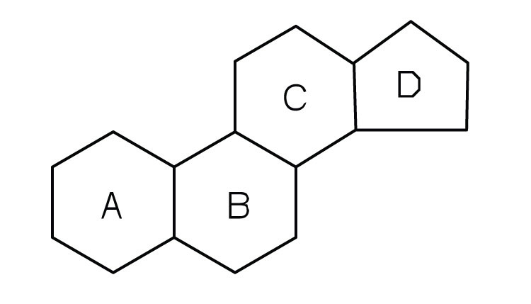 The Advanced Guide To 2 types of steroids