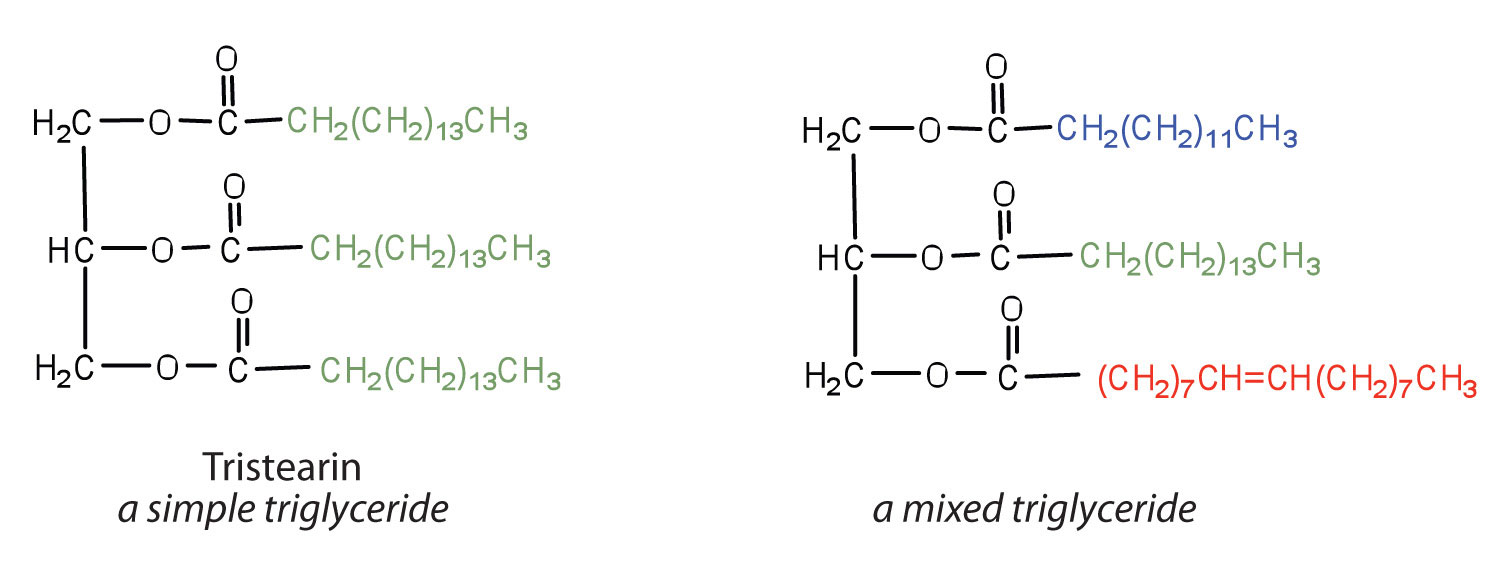 simple saturated fat molecule