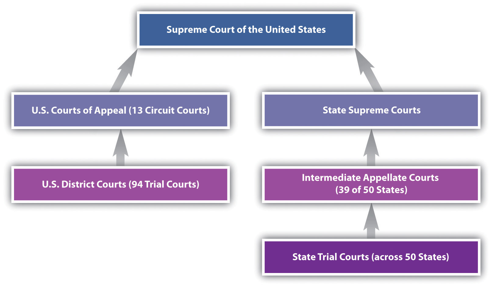 Diagram showing the flow down from the US Supreme Court to the US District Courts or the State Trial Courts