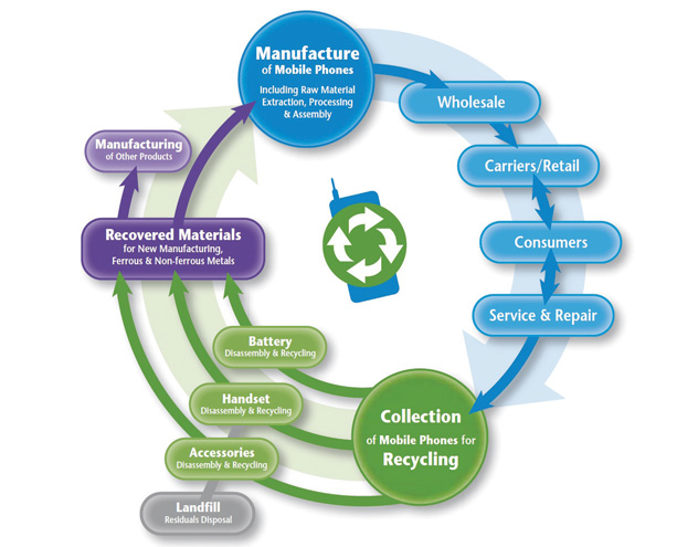 Life Cycle Management And Sustainability